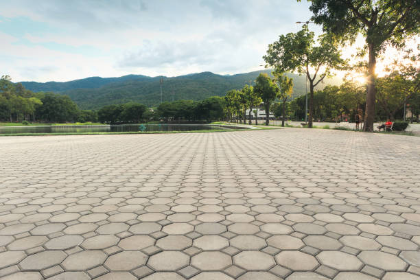 Best Residential Driveway Paver Services  in Steele Creek, AK