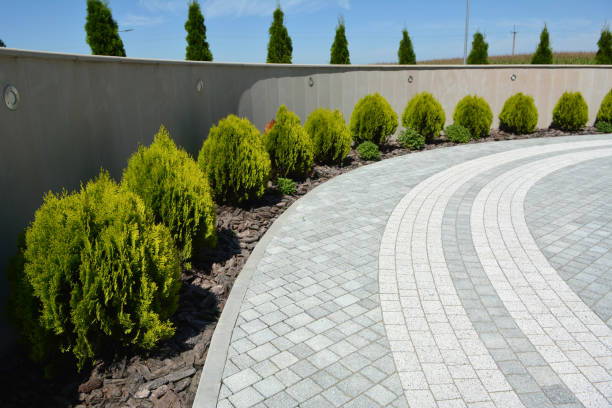 Best Driveway Repair Near Me  in Steele Creek, AK